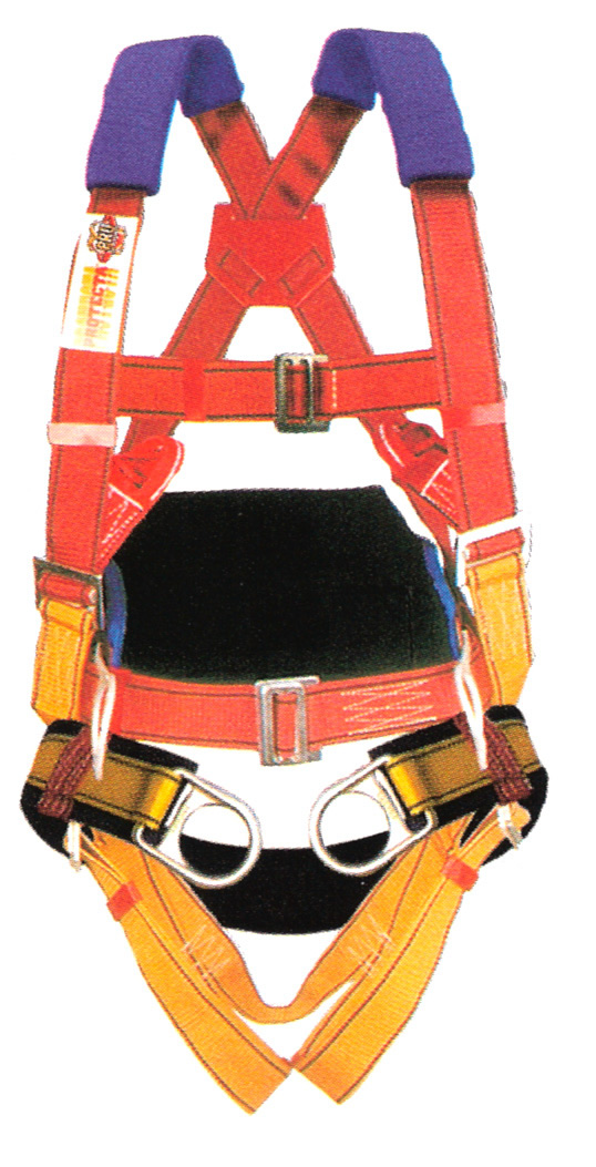 Safety Harness 1